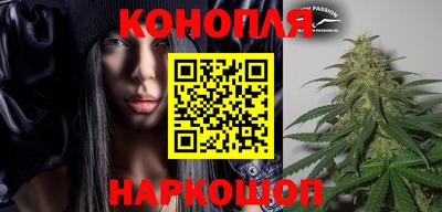 гидра Моздок
