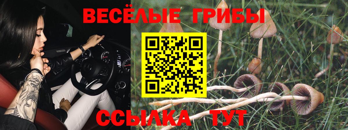 Псилоцибиновые грибы ЛСД  Вход с VPN  Рассказово 