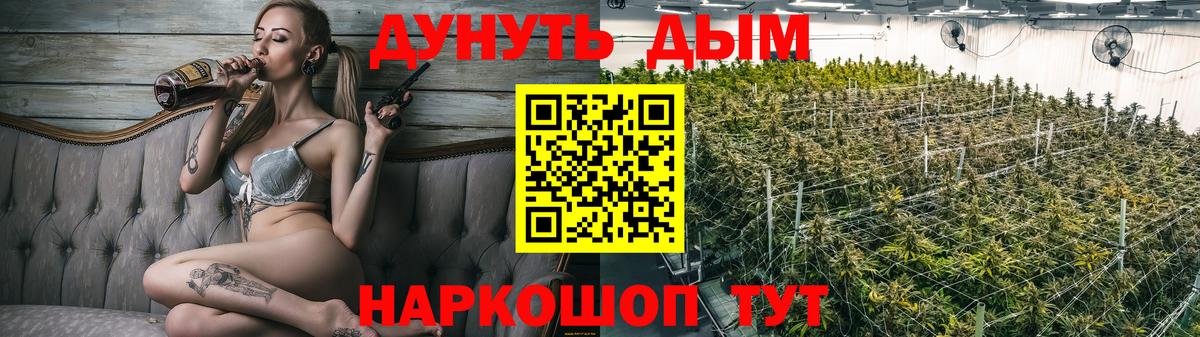 Бошки Шишки планчик Рассказово